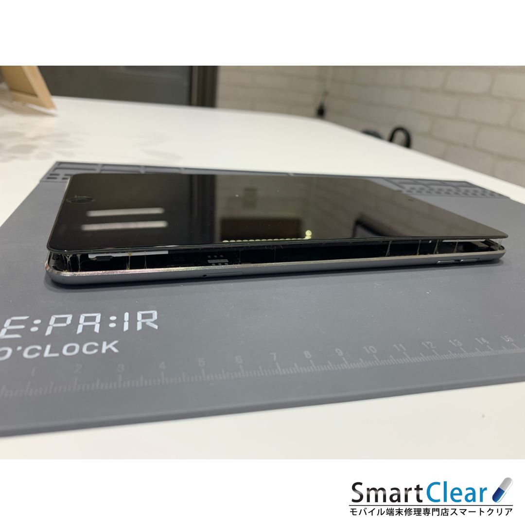 iPadmini4 batteryrepair 20240610