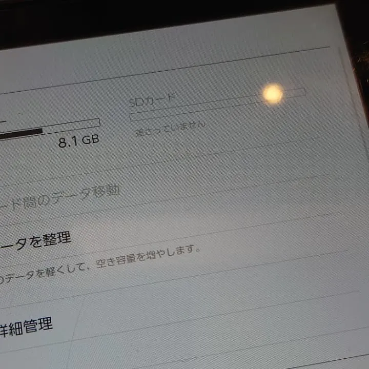 Switch SDカード読み込み不良