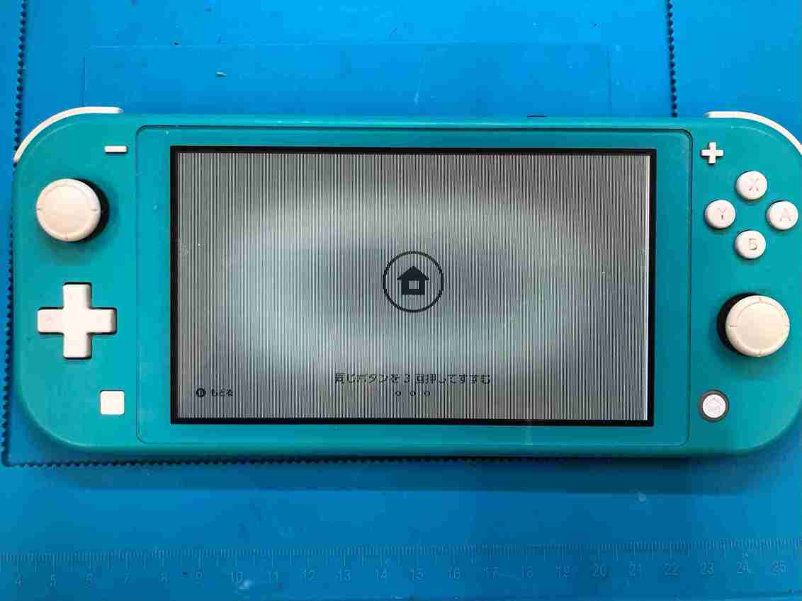 久しぶりに起動したSwitch Liteを襲った画面の異変！？