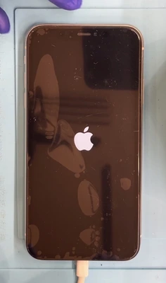 札幌駅でiPhone11画面交換完了後の端末｜スマートクリア札幌駅アピア店 データそのまま対応
