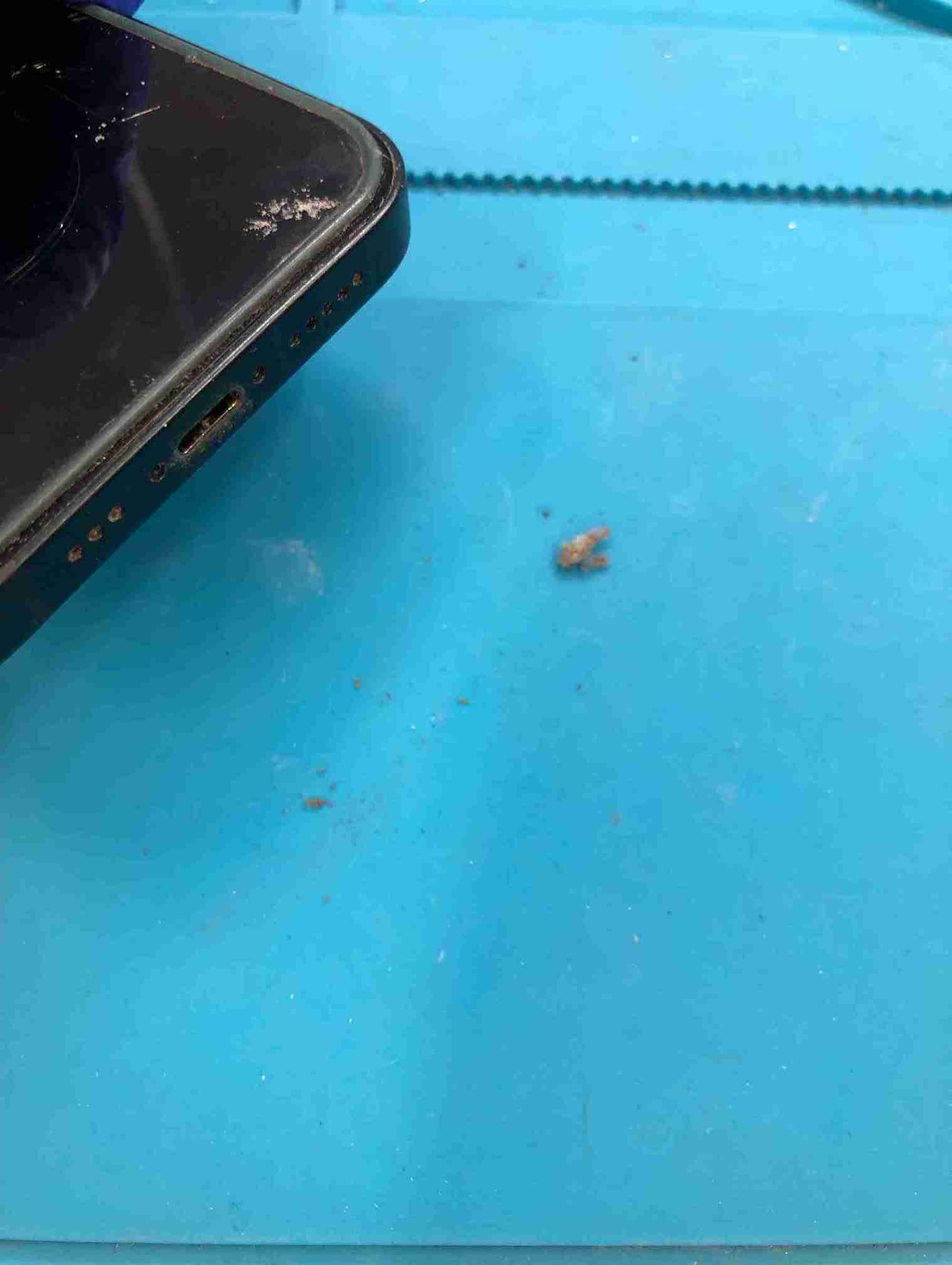 中からホコリが沢山