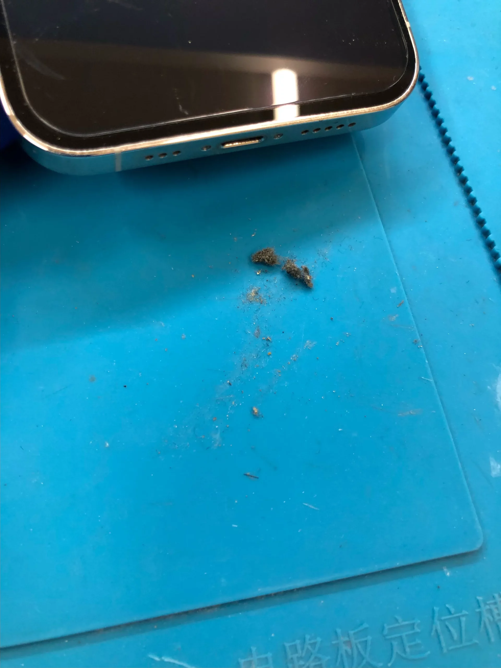 中に溜まったホコリ