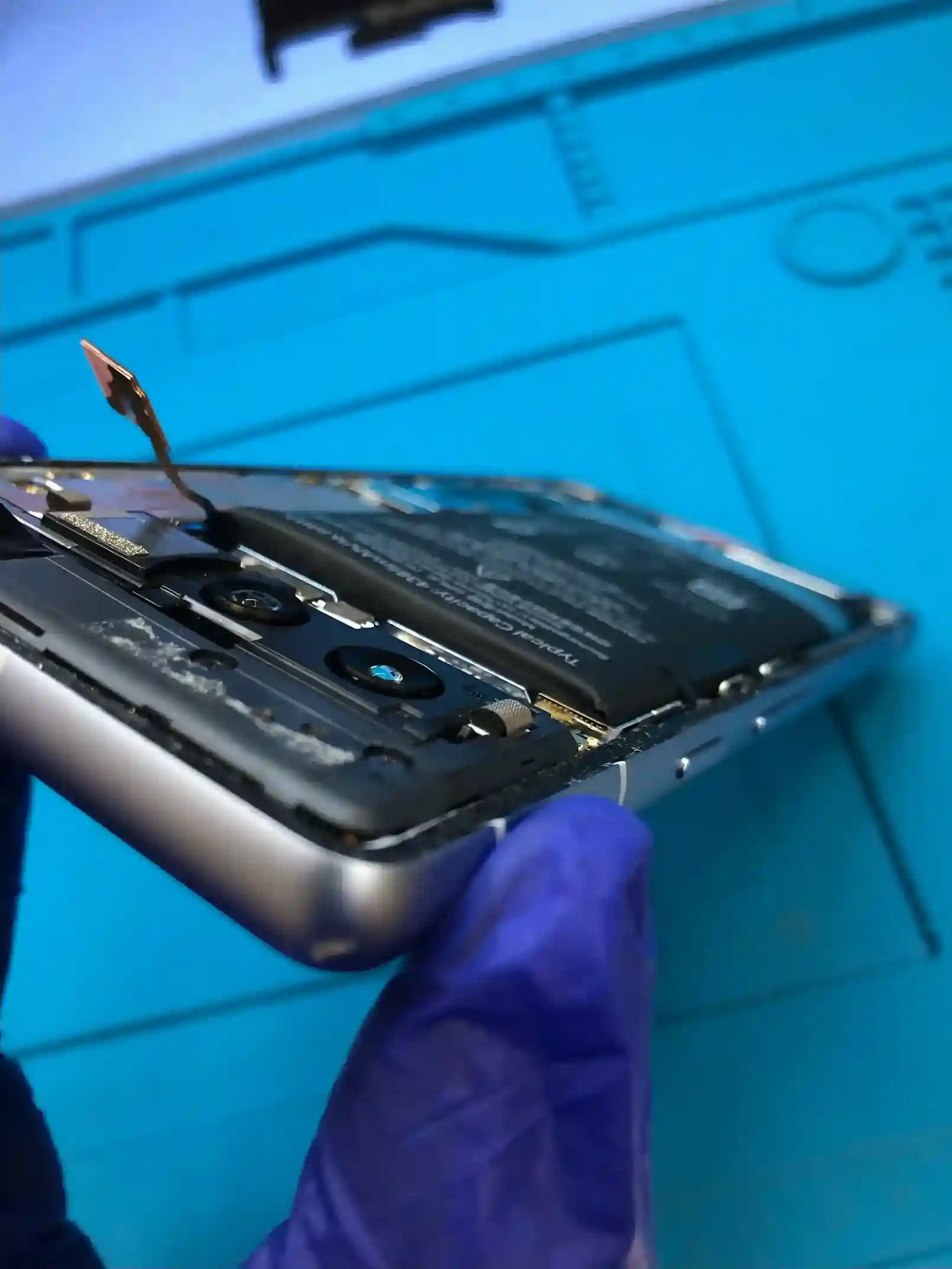 膨張して飛び出している