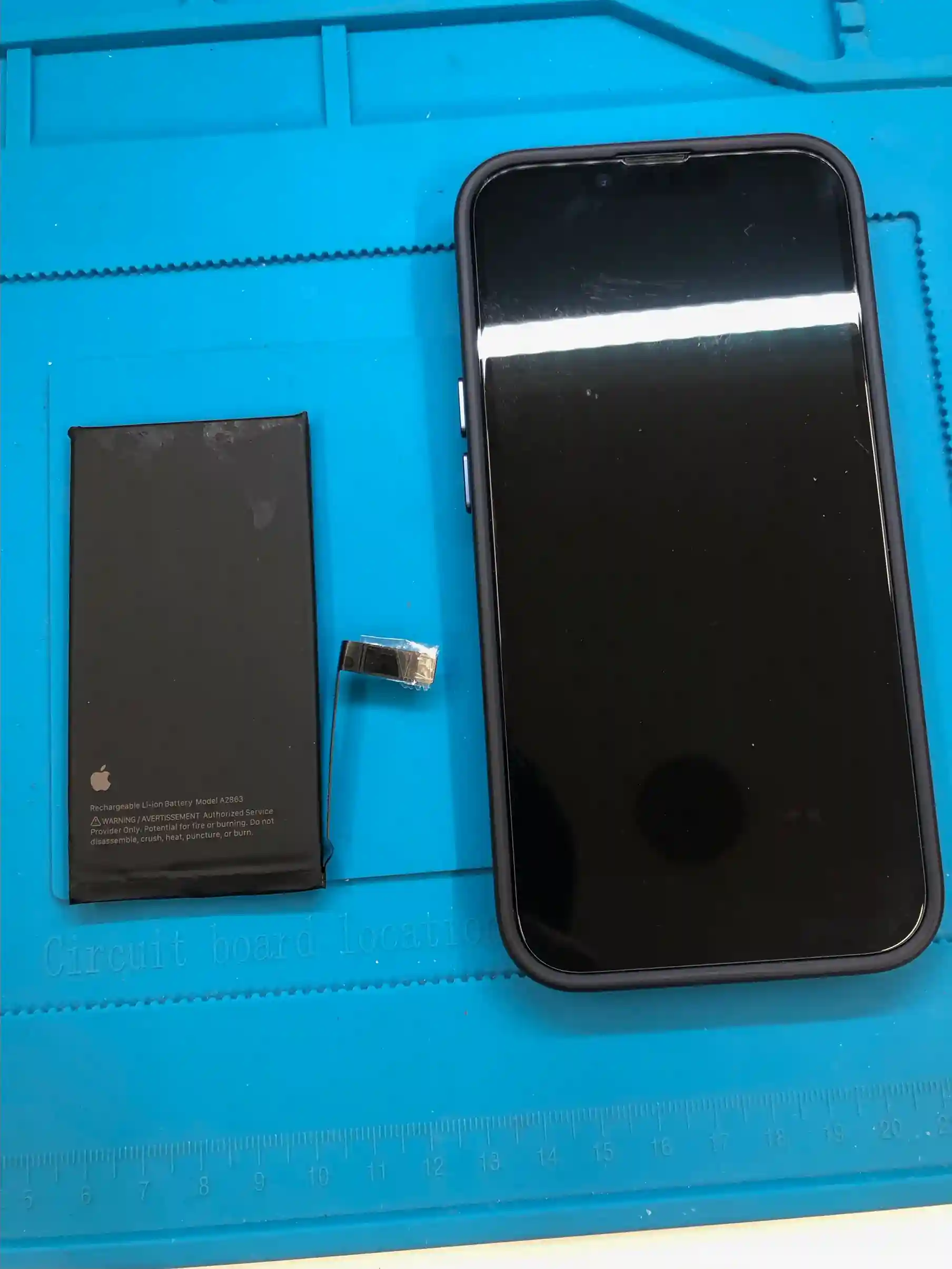 クリーニングのみもOKです